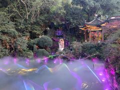 -杭州黄龙洞