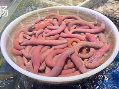-日月昇渔家菜·海肠捞饭·大连海鲜(星海公园店)