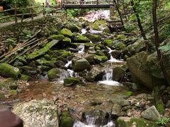 -青峰峡国家森林公园