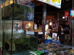 -开禾52阿伟海鲜加工