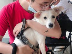 -BE NORMAL CAFE(霞溪路店)