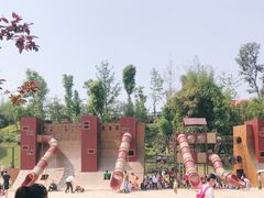 -枫香湖儿童公园