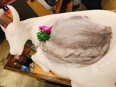 -大龙燚火锅(春熙店)