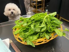 -二刀潮牛(重庆光环购物公园店)