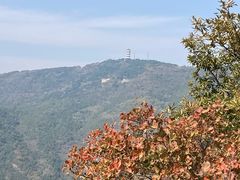 -北京十三陵国家森林公园蟒山景区