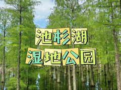 -池杉湖湿地公园