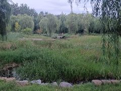 -莲花池公园