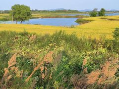 -嬉子湖生态旅游区