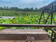 -武汉紫薇都市田园