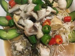 -陶缘一号·四季缘·老字号顺德菜·户外婚礼家宴(西滘店)