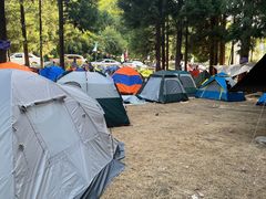 -武陵山森林公园