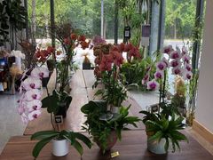 -简屋书店