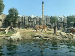 -深圳野生动物园