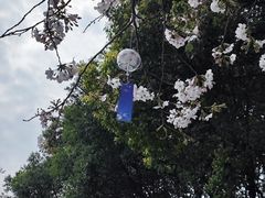 -凤凰沟景区
