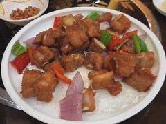 -晶莹品鲜.顺德鱼生.特色桑拿菜
