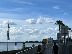 -宝安西湾红树林湿地公园