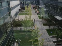 -首都医科大学附属北京天坛医院