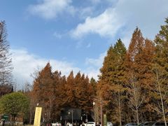 -山王坪喀斯特国家生态公园