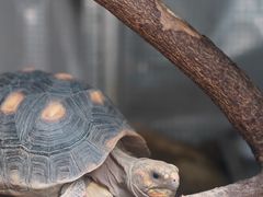 -杭州野生动物世界