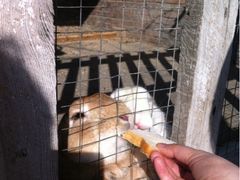 -意大利农场度假村