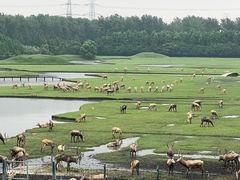 -溱湖国家湿地公园
