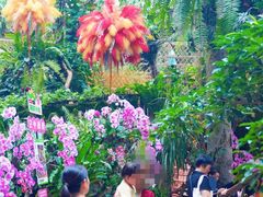 -正佳雨林生态植物园