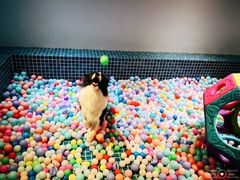 -太阳岛度假酒店