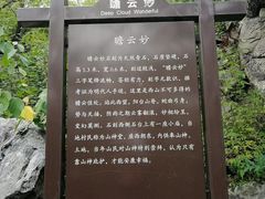 -阳台山自然风景区