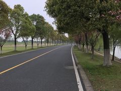 -漕湖湿地公园