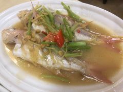 -惠来大排档(联创商业街店)