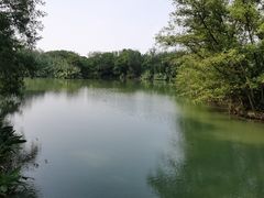 -西溪国家湿地公园