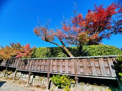 -天龙寺