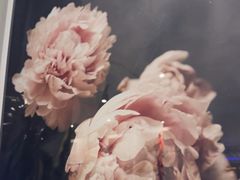 -峨嵋一派