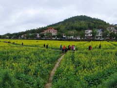 -红山村