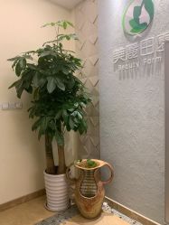 -美丽田园