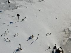 -天津东丽湖风景区