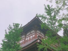 -西安青龙寺遗址景区