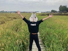 -中国天府农业博览园