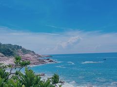 -广东惠东海龟国家级自然保护区