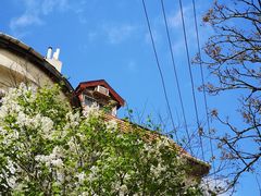 -海底捞火锅(中山路天主教堂店)