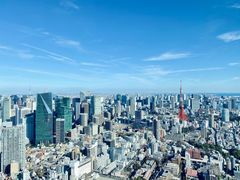 -六本木新城展望台(东京城市景观)