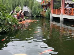 -香麒园·过桥米线·南湖雅宴
