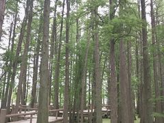 -东湖落雁景区