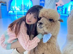 -Blue Concept Cafe&Farm·關於藍