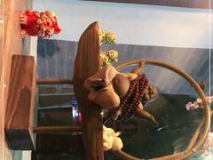 -长亭酒肆.武夷菜(鼓楼后海店)