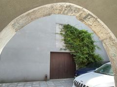 -嵩祝寺及智珠寺