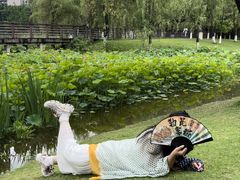 -沐仙湖湿地公园