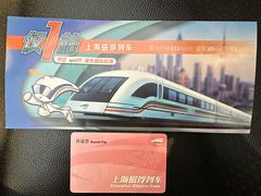 -龙阳路磁悬浮列车总站-停车场