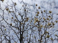 -中国移动南方基地