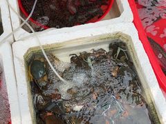 -上海浦南农副产品批发市场